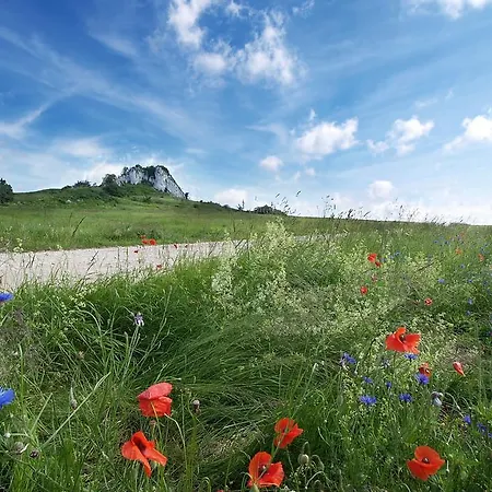 فندق Fajkier كروتشيسته