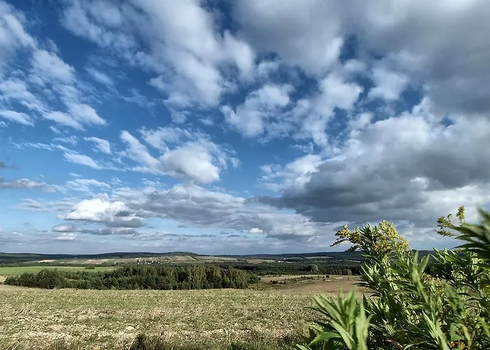 Fajkier 크로시체