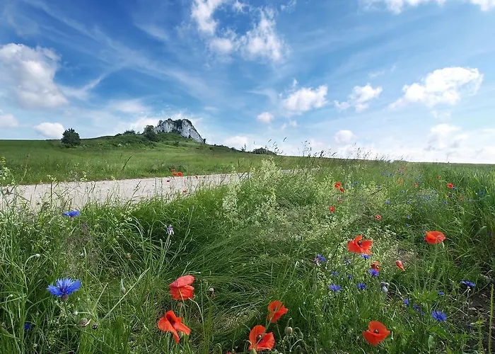 Hotel Fajkier Kroczyce